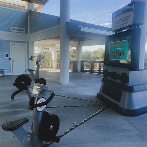 Powerful Manatee Viewing Center At Tampa Electric | Savory Traveler