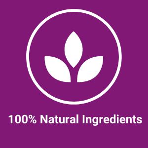 True Elements Multigrain Dosa Mix 250g (Pack of 2) - Instant Breakfast ...