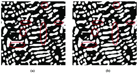 Image result for Local Variable Processing