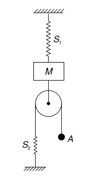 In the system shown in figure, the two springs `S_(1) "and" S_(2)` have ...