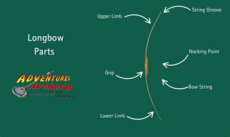 Recurve Bow vs Longbow | Adventures Archery