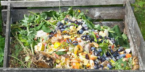 How to make Compost at home | Benefits | Methods | Advantages | Disadv ...