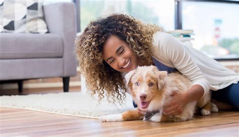 Rankin Animal Clinic | Fairhope, AL | Veterinary Services