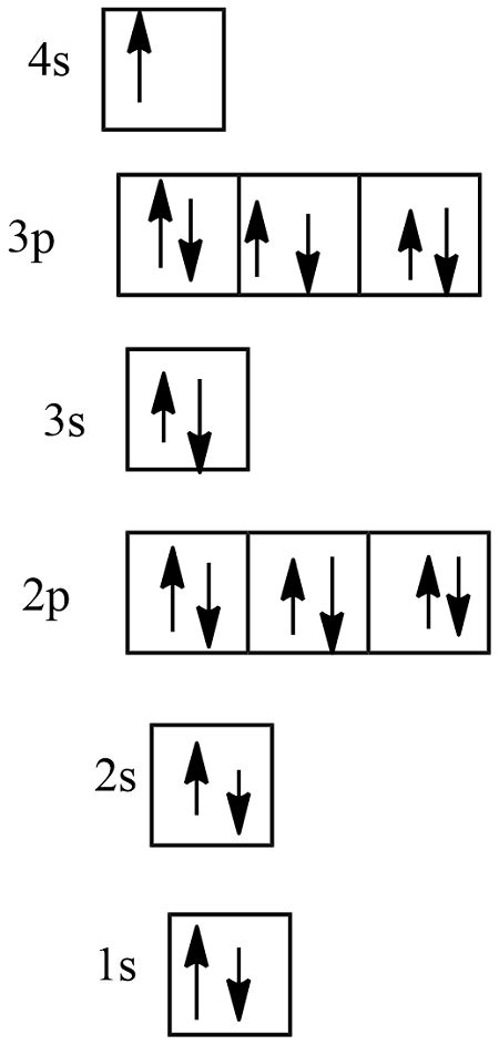 Electron Configuration Table 的图像结果