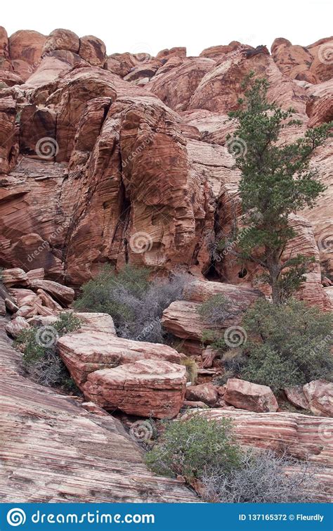 Calico Basin, Red Rock Conservation Area, Nevada USA Stock Photo ...
