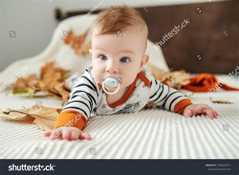 Cute Baby Boy Binkies