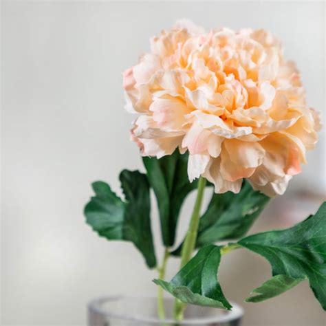 Peony Artificial Flower Peach Set Of 5