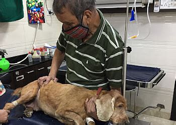 3 Best Veterinary Hospitals in Mumbai, MH - ThreeBestRated