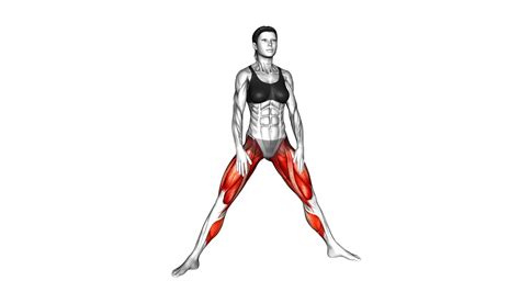 Lunge Series
