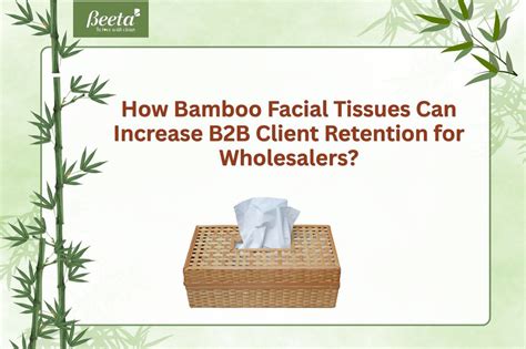 How Bamboo Facial Tissues Can Increase B2B Client Retention for Wholes ...