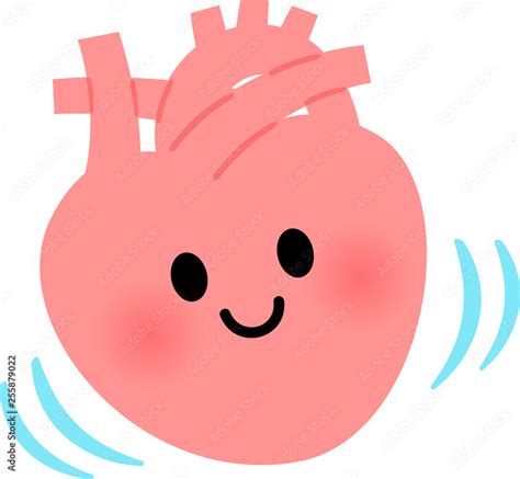 Image result for Single Line Design Vector Color