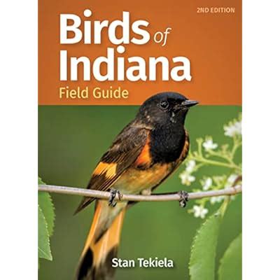 Birds of Indiana Field Guide Bird Identification India | Ubuy