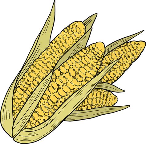 Free Corn On The Cob, Download Free Corn On The Cob png images, Free ...