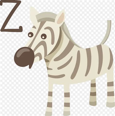 Zpython 的图像结果