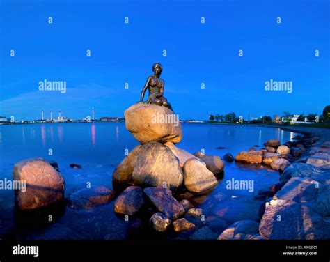 Statue of the Little Mermaid, Copenhagen, Denmark, Europe Stock Photo ...