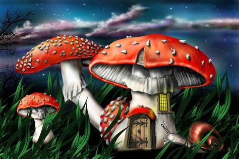 Девочка мухомор рисунок - фото и картинки abrakadabra.fun