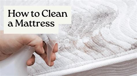 Image result for How to Clean Box Spring Mattress