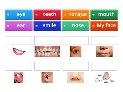 Image result for Paste My Face Comp