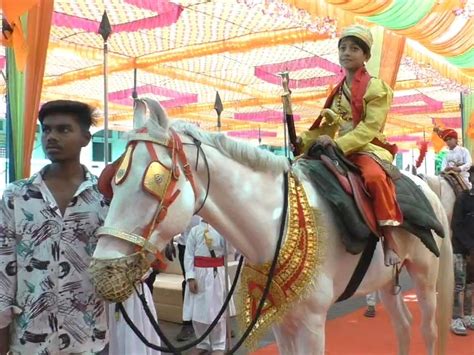 Grand celebration of Shivaji Maharaj's birth anniversary at Kamrej's ...