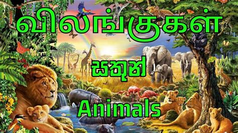 Image result for Public Main Java