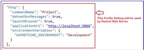 How to Read From Launchsetting.json in Asp.net Core Web API 的图像结果