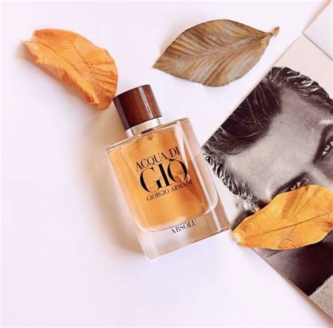 Giorgioo ArmanIIii Acqua Di Gio Absolu Eau De Perfume For Unisex ...