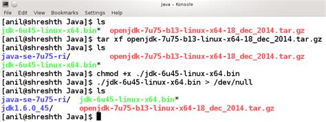 Image result for How to Use Multiple Java Versions Windows 1.0