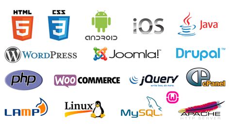 Web Design Company India,Website Development,Mobile Application,Web ...