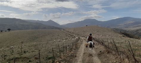Trekking Alla scoperta della Valle del Sosio - SicilyHorseTours