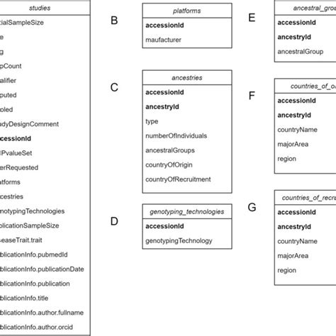 Sample for Class Structure 的图像结果