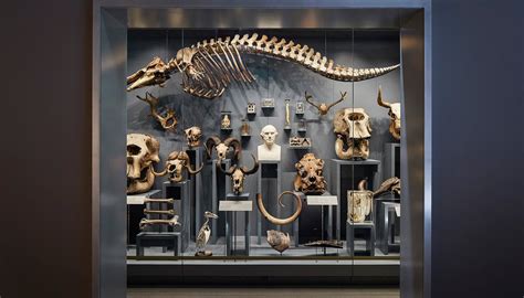 HUNTERIAN MUSEUM (2026) All You Need to Know BEFORE You Go (with Photos ...