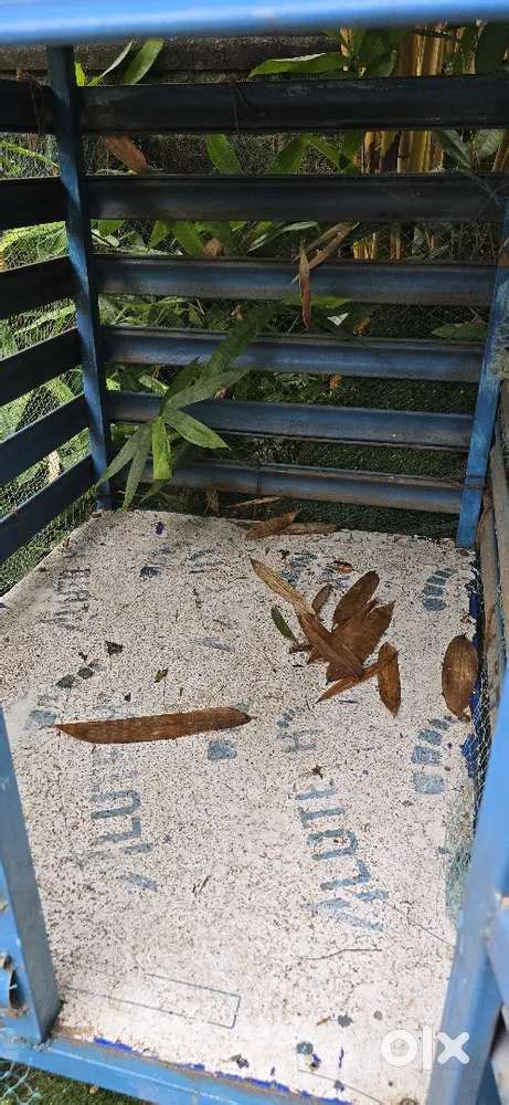 Dog Cage For Sale - Pet Food & Accessories in Mavelikara, Mavelikkara ...