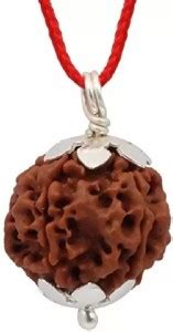 Fine Creation 6 Mukhi Rudraksha Original Nepali | Six Face Rudraksha ...