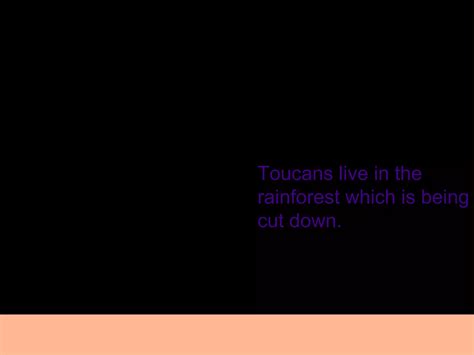 Endangered Toucans | PPT
