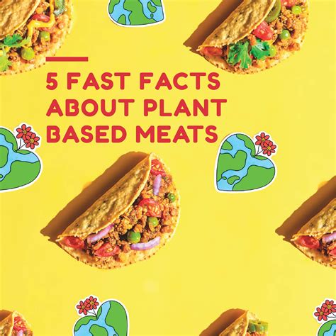 5 Fast Facts About Plant Based Meat – Blue Tribe Foods