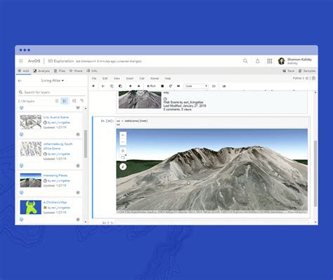 Esri Notebook Example 的图像结果