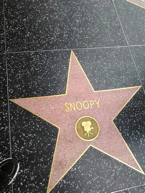 Pin by Monica Flores on the peanuts | Hollywood star walk, Hollywood ...