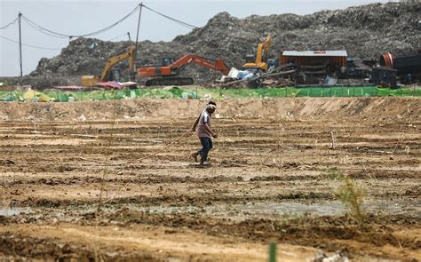 Delhi's Eco Initiative: Bamboo Planting at Okhla Landfill