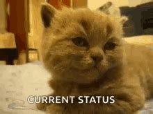 Image result for Software Engineer Is Problem Solver