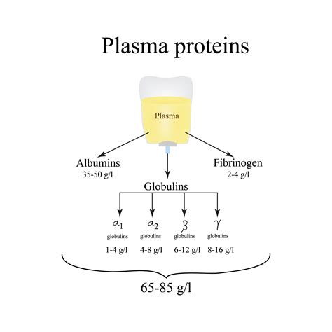 What is Alpha-1-Globulin, Serum?