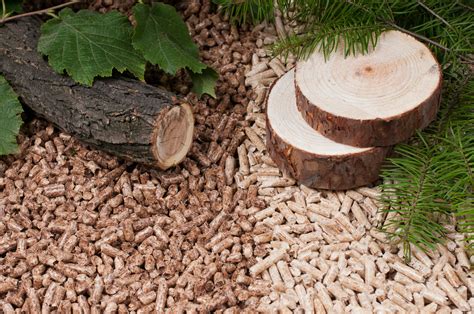 Is There a Difference Between Hardwood and Softwood Wood Pellets ...