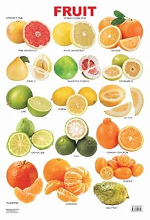 Buy Fruit Chart - 3 Educational Wall Chart For Kids - Both Side Hard ...