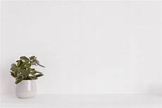 Beautiful White Backgrounds by 1000 Beautiful White Background Photos 183 Pexels 183 Free Beautiful White Backgrounds