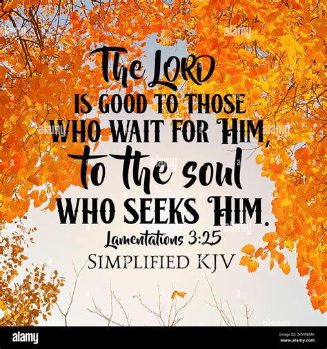 A Christian Bible verse from Lamentations 3:25 about God's goodness to those who wait on him ...