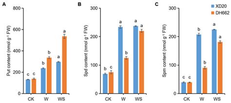 Life | November 2022 - Browse Articles