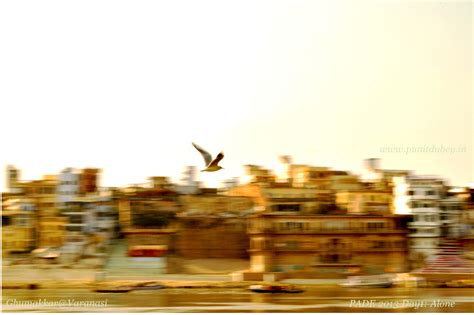 Photo A Day Experiment (PADE) Day1: Alone