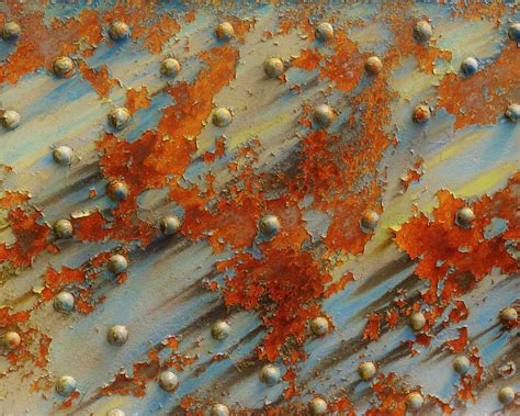 Image result for Wax Rust