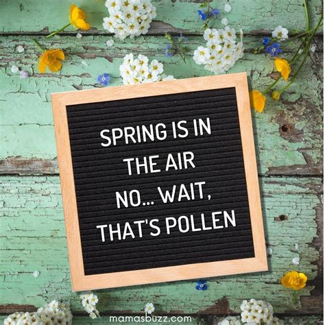 125+ Best Spring Letter Board Quotes