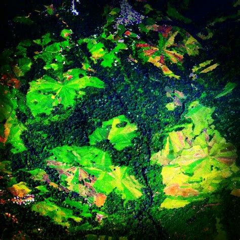 Manggarai Tribe: Traditional Spider Web Rice Fields of Flores