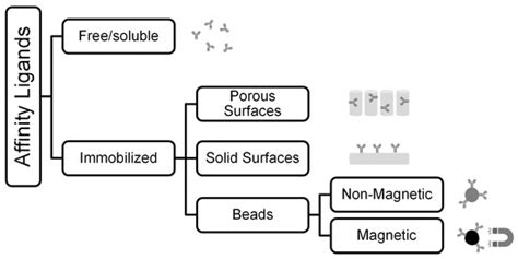 IJMS | Special Issue : Nanotechnology-Based Drug Delivery Systems for ...